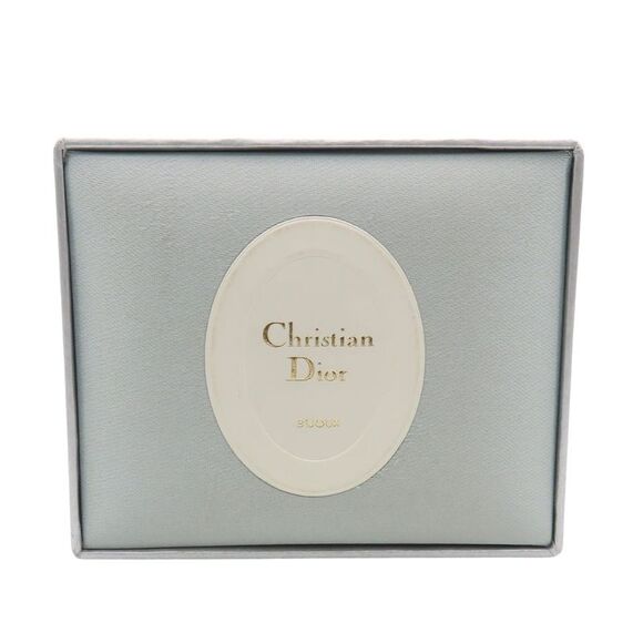 Christian Dior CD Logo Earrings